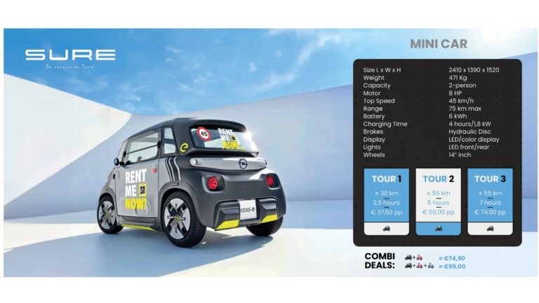 Mini Car