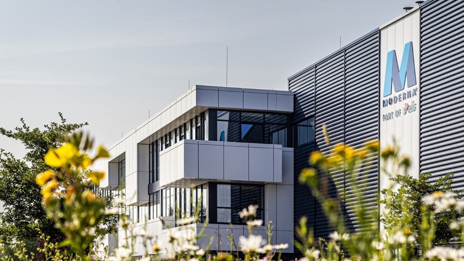 Nieuw: Pestcontrol