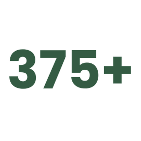 Groene tekst 375+