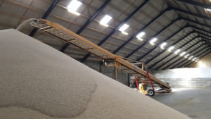 Storeloader / shiploader