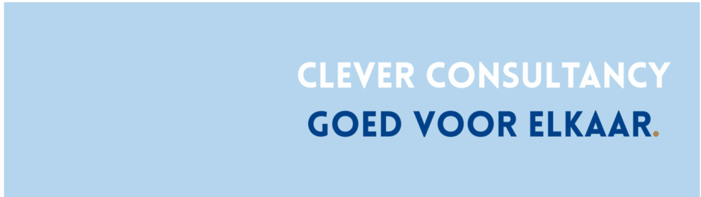 Clever Consultancy