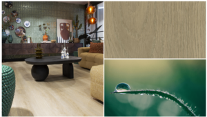 Balance collectie