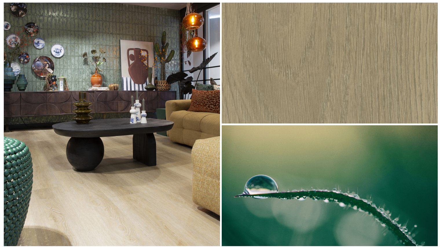 Balance collectie