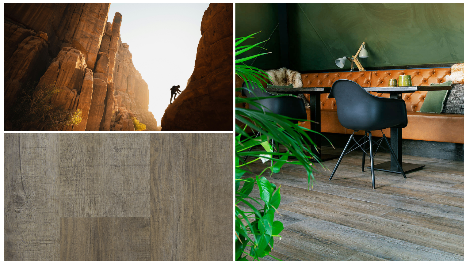 Experience collectie