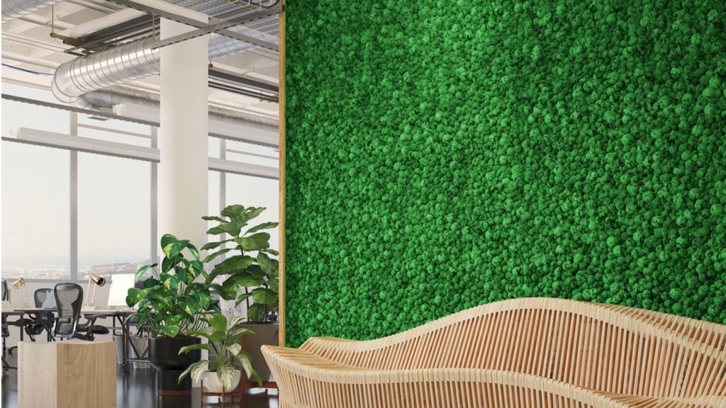 IdeaGarden