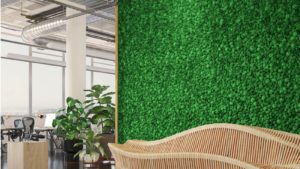 IdeaGarden