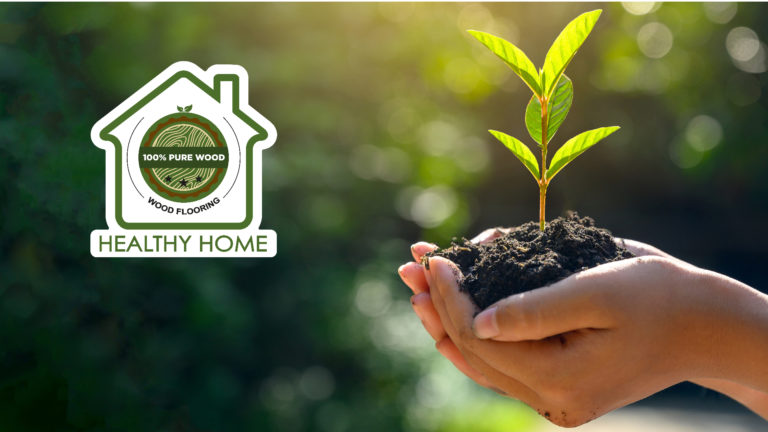 T&G Wood introduces… Healthy Home
