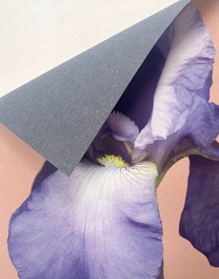 Big Wall Flowers BvhJ26 (2)