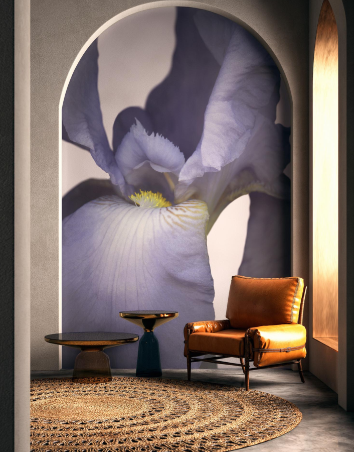 Big Wall Flowers BvhJ26