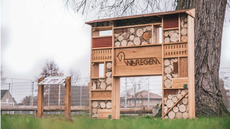 Insectenhotel / bijenhotel op maat