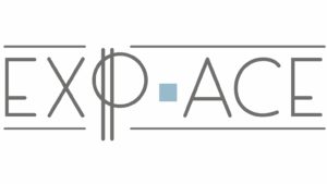 EXP-ACE by Verstichel & Experts Associ&eacute;s