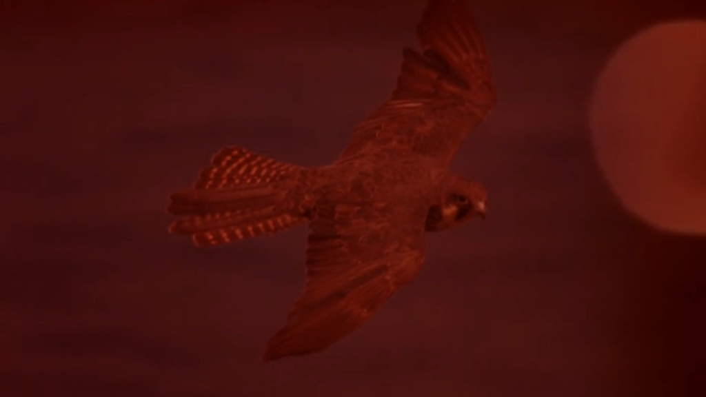 Innovatie in beeld: Valk Welding onthult nieuwe bedrijfsfilm