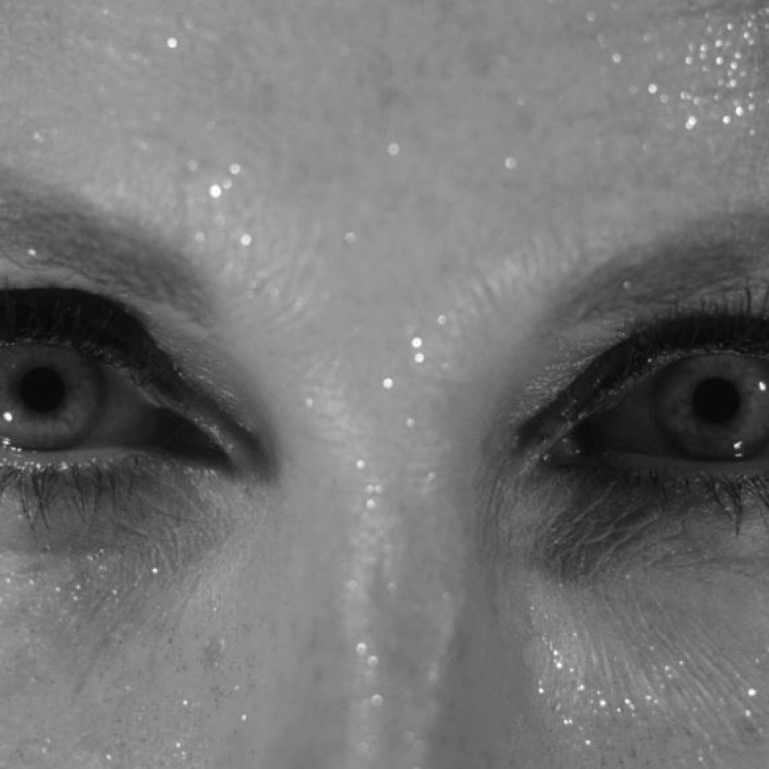 Art Brussels 25 28 April 2024 Brussels Expo