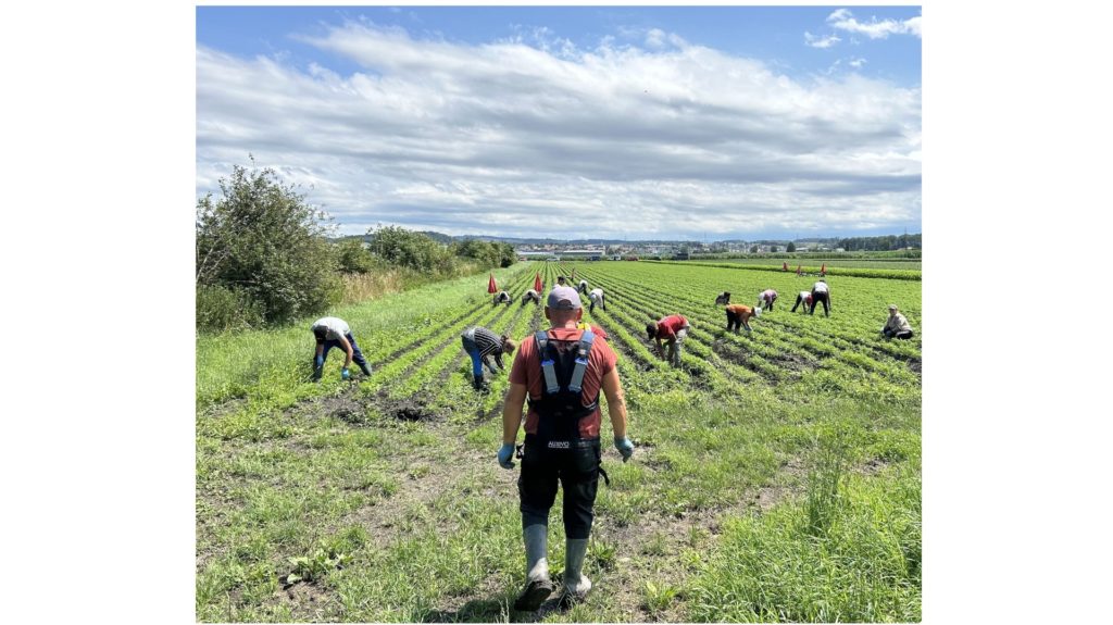 Insights from TNO Research on Physical Support