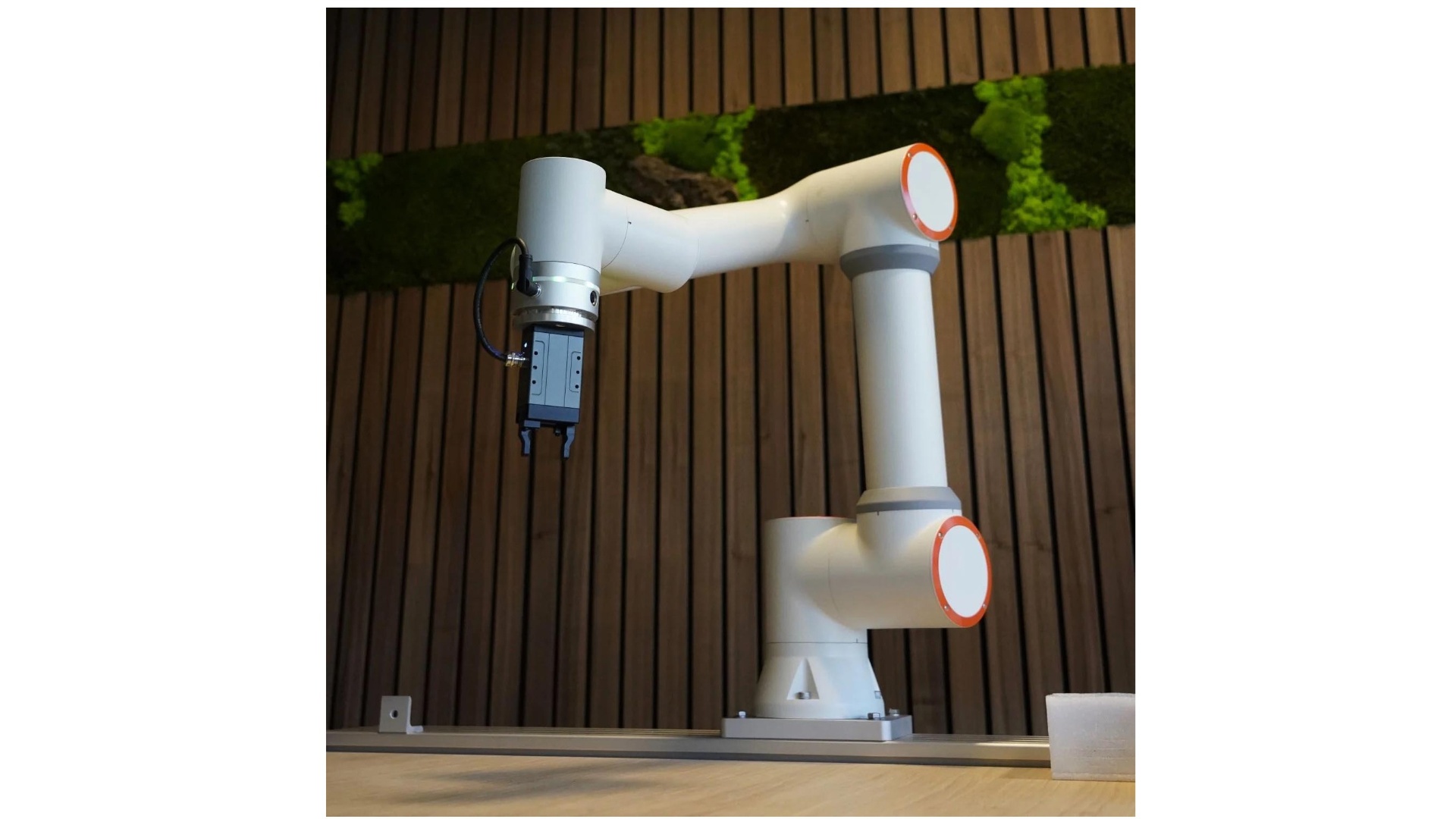 Showroom in Pijnacker geopend