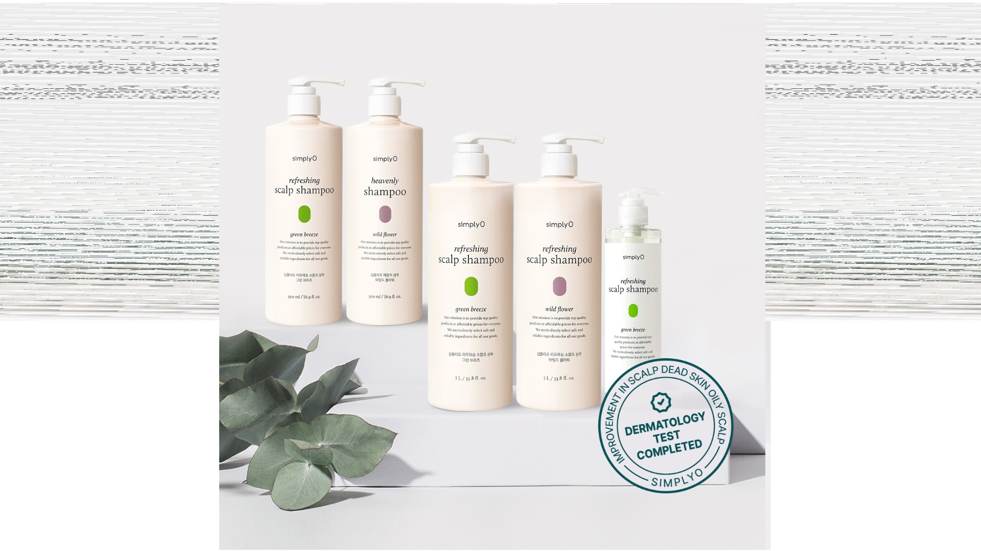 The best Shampoo for your scalp!