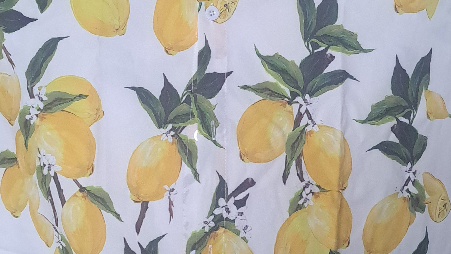 Limoncello 🍋 huisgemaakte, ambachtelijke en biologisch. Heerlijk als likeurtje of op ijs