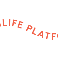 VP-Logo-Oranje