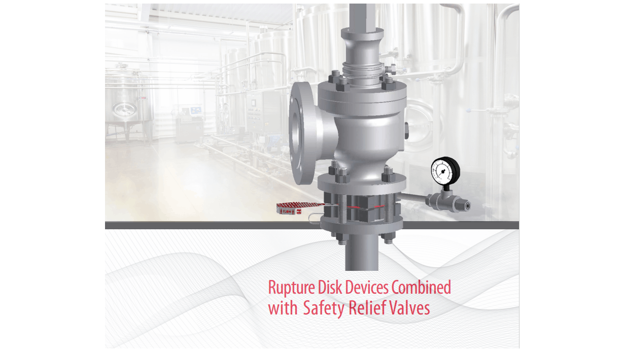 Rupture Disk Devices Combined with Safety Relief Valves Pumps & Valves NL