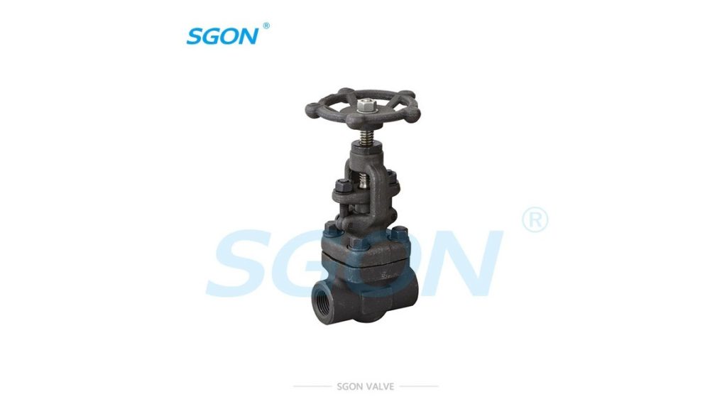 Forged Steel Gate Valve