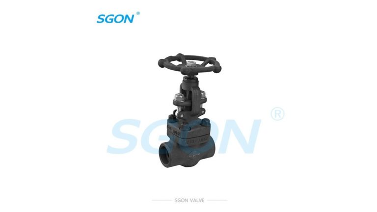 Forged Steel Globe Valve