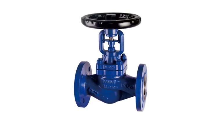 DIN Stardard Bellow Seal Globe Check Valve
