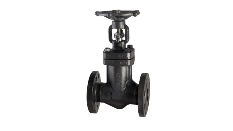 Forged Steel Bellows Sealed Globe Valve