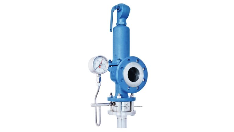 Rupture Disc and Safety Valve