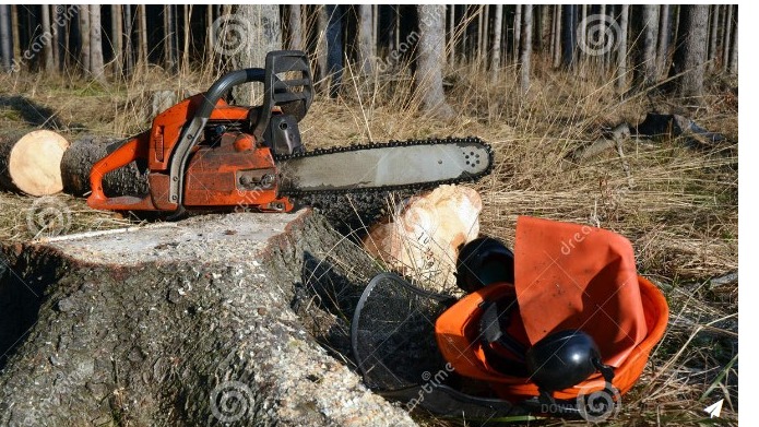 Sécurité parcs et jardins – Permis tronçonneuse