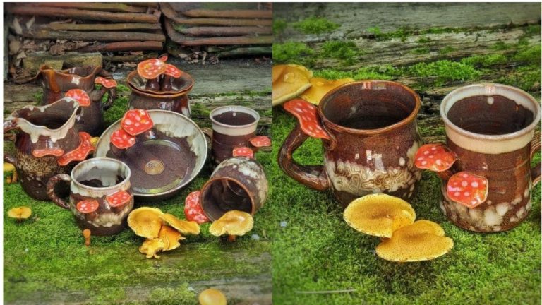 Paddenstoel Collectie