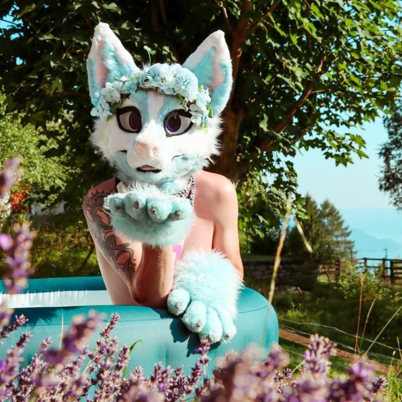 Bear Nub Studio Furries