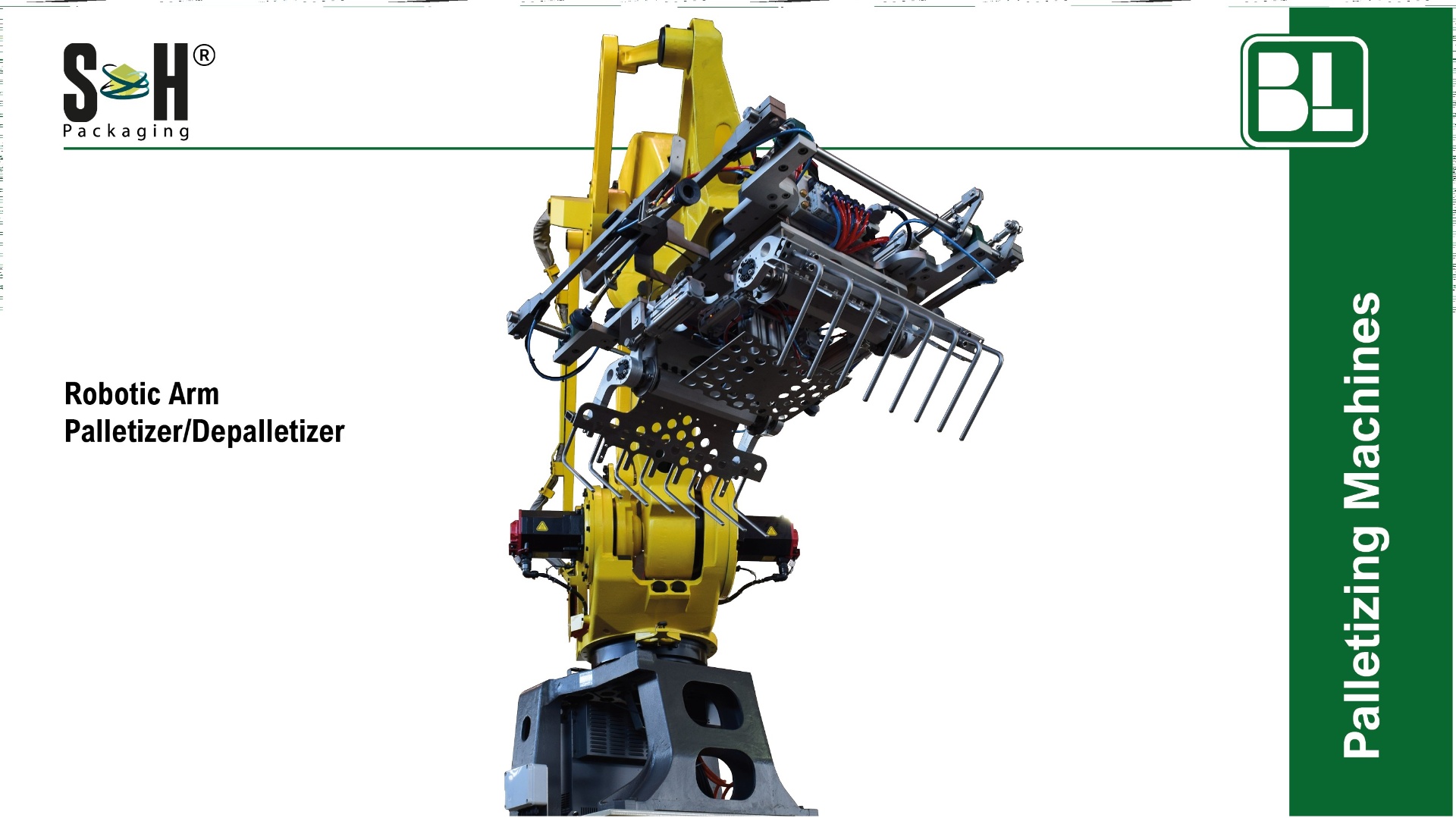 Robotic Arm Palletizer/Depalletizer