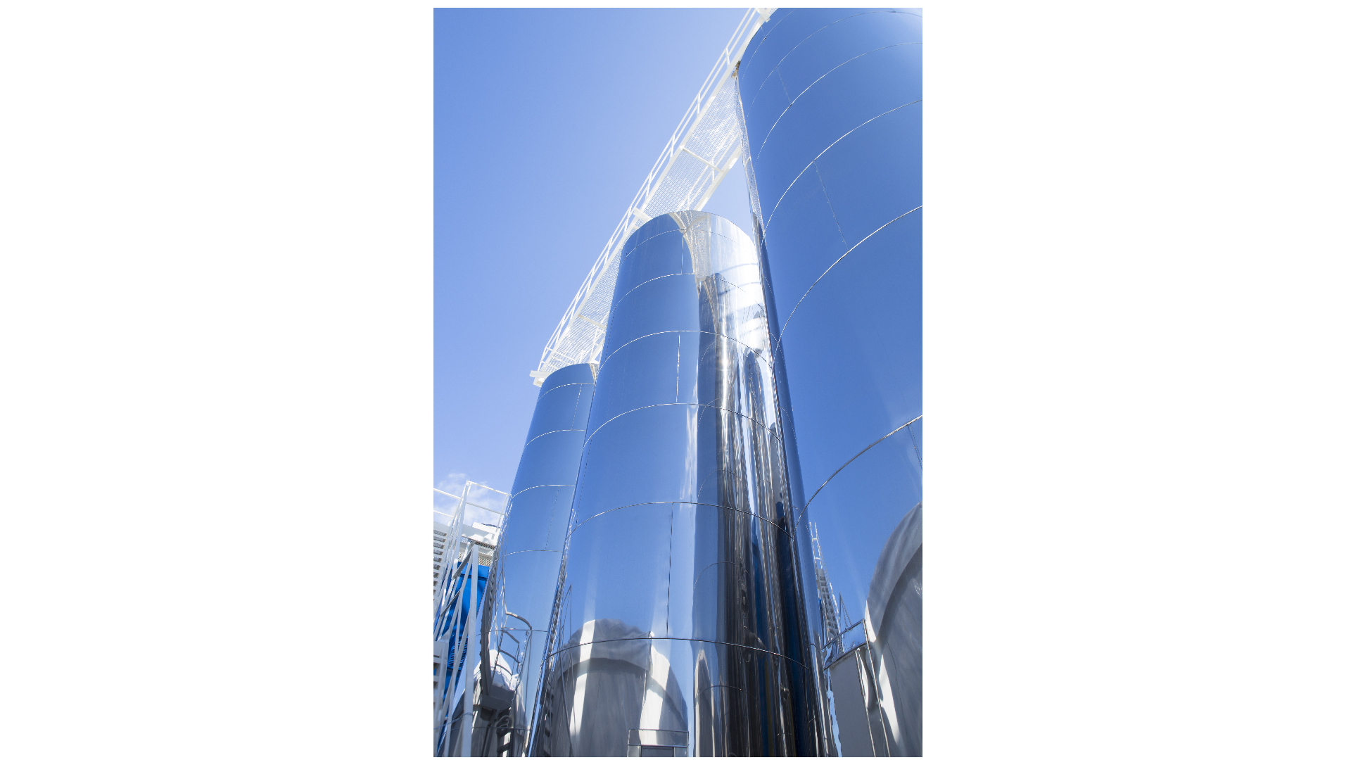 STAINLESS STEEL SILOS
