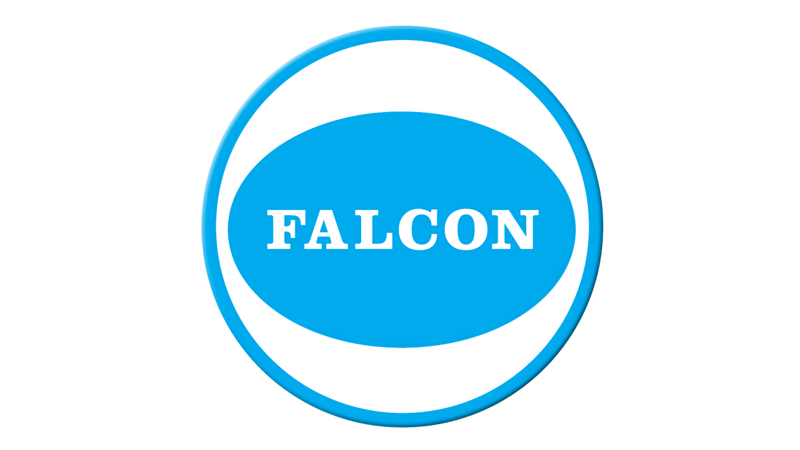 Falcon Srl