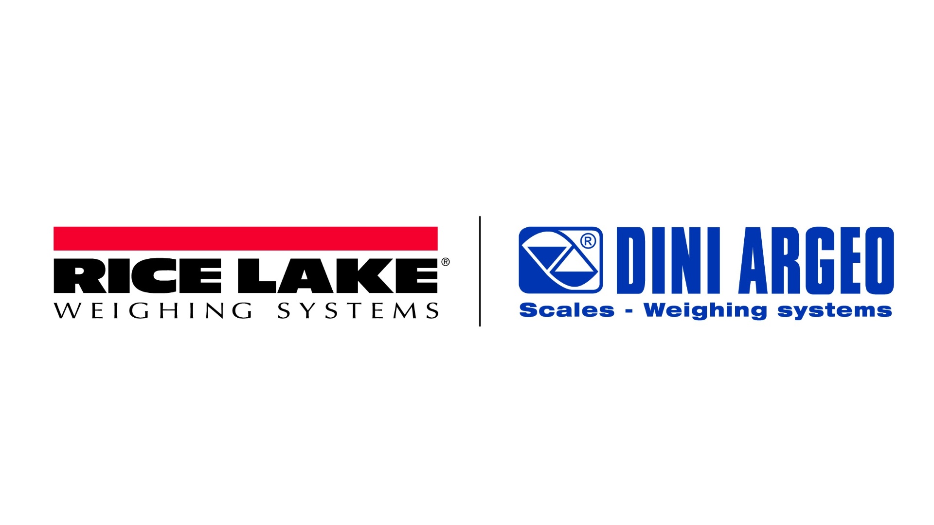 Rice Lake Weighing Systems