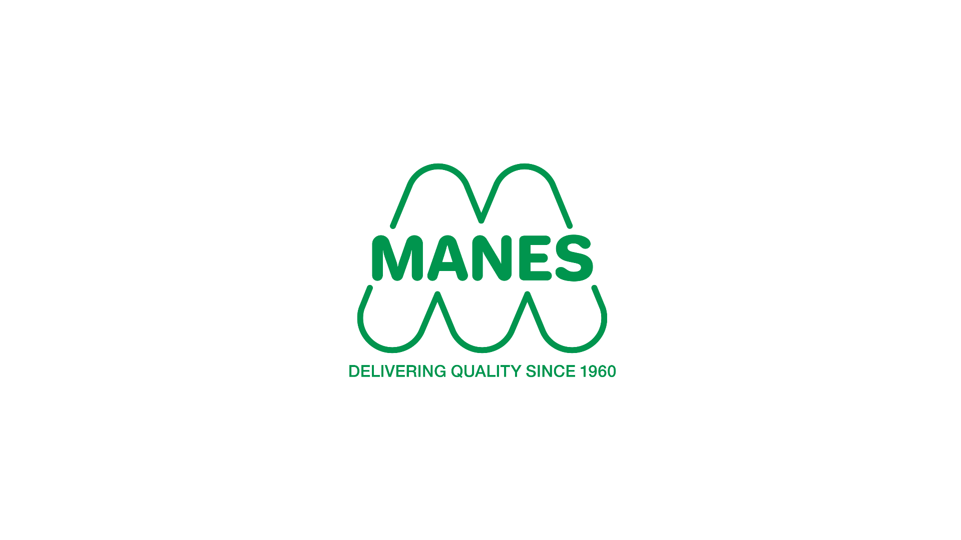 MANES MACCHINE S.R.L.