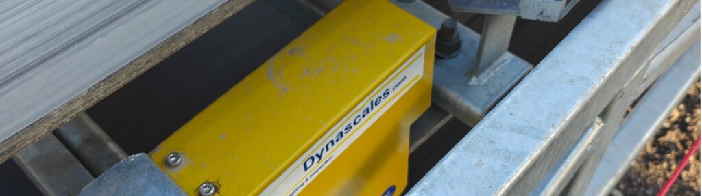 Weighing & Inspection