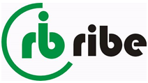 nuovo sito internet www.ribesrl.com