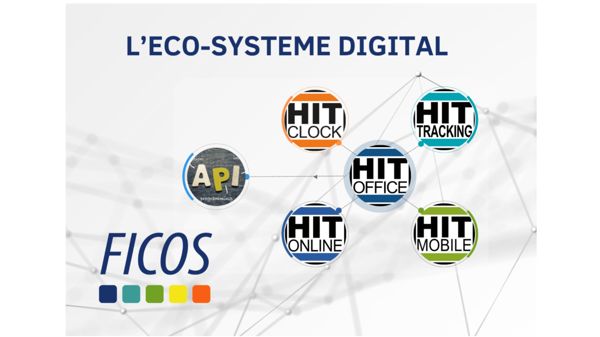 Ecosystème digital: HIT