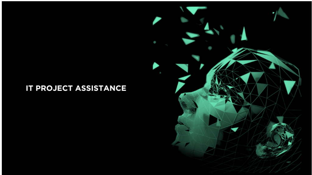 Project assistance services