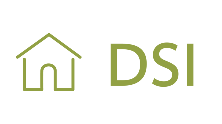 Dossier de Soins Informatisé