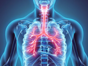 Un taux d’humidité trop bas affaiblit la fonction  barrière et la résistance innée aux infections grippales