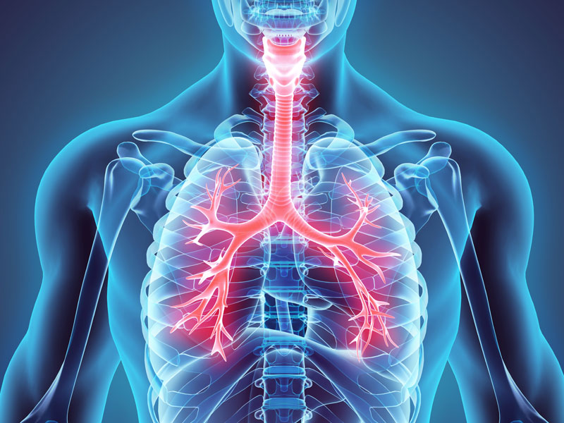 Un taux d’humidité trop bas affaiblit la fonction  barrière et la résistance innée aux infections grippales