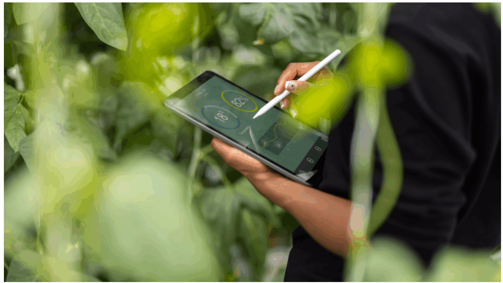 Notre responsabilité pour la planète