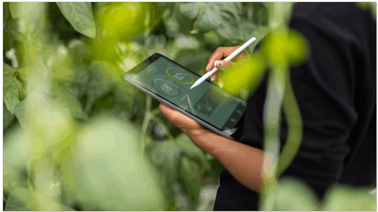 Notre responsabilité pour la planète