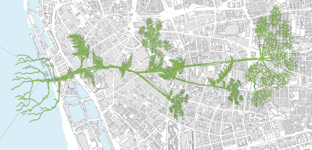 opinion piece graham