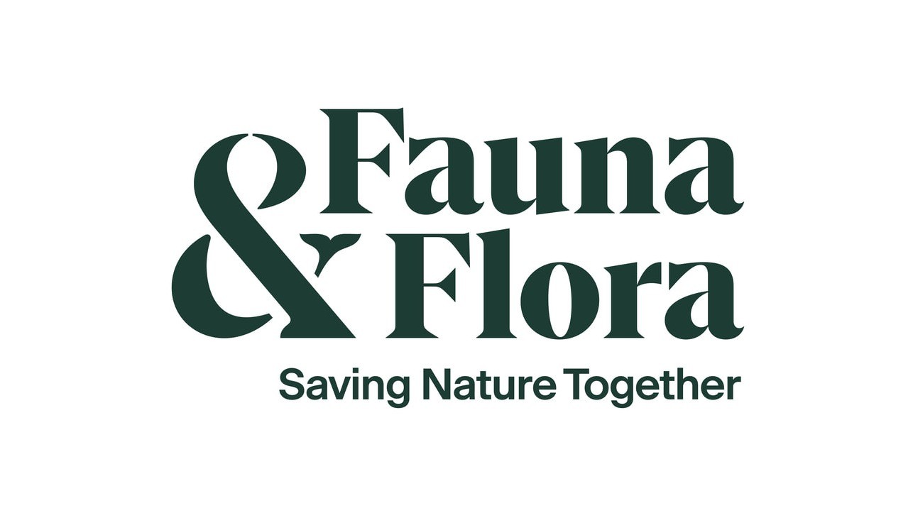 CF Fundraising