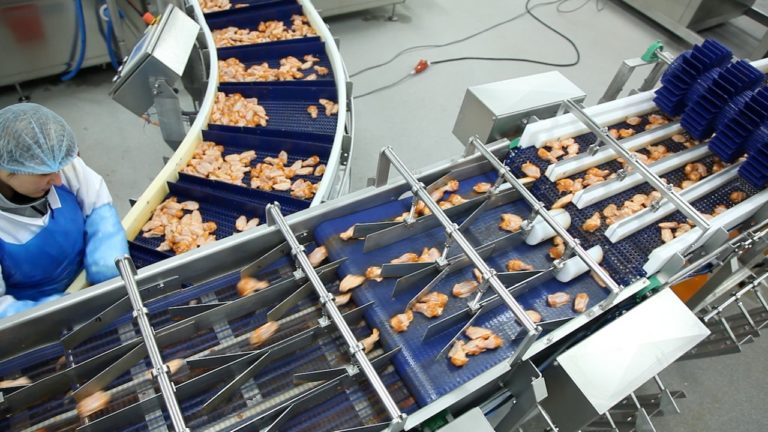 Wing Counting System