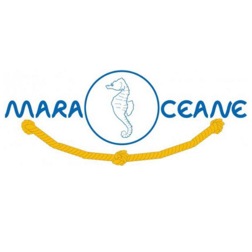 299316844_536915814992256_6059517156668692344_n