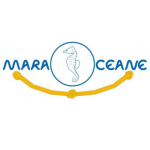 299316844_536915814992256_6059517156668692344_n